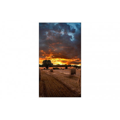 MONITOR SEÑALIZACION DIGITAL SAMSUNG 46 VM46B-U FULLHD, VIDEOWALL , HDMI, RS232C, RJ45, D.PORT, 500 NITS, 3.5MM, 24/7